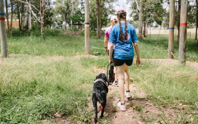 The Role of Occupational Therapy in Mental Health: Promoting Well-being and Independence